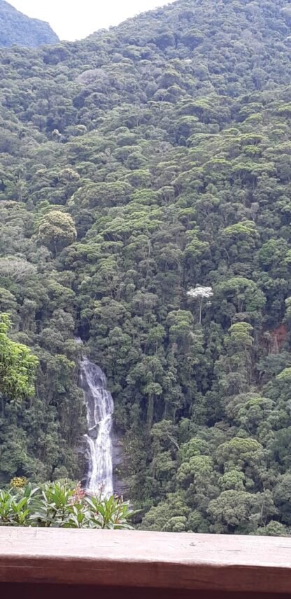 Trilha Mirante da Cascatinha + Museu do Açude + Banho de Cachoeira - Alto da Boa Vista - Rio de Janeiro - RJ - Imagem 2