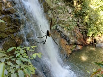 Rapel na Cachoeira do Mendanha - Rio de Janeiro - RJ - Imagem 15