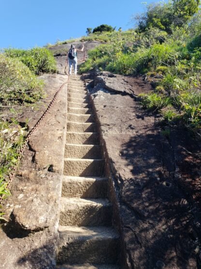 Trilha para o Pico da Tijuca - Alto da Boa Vista - Rio de Janeiro - RJ - Imagem 4